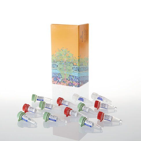 Flexi System, Transfer