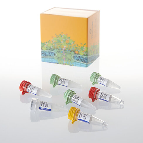 Carboxy Flexi System, Transfer