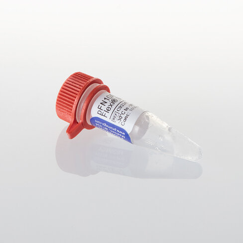 PFN10A (ACT) Flexi Vector, 20µg