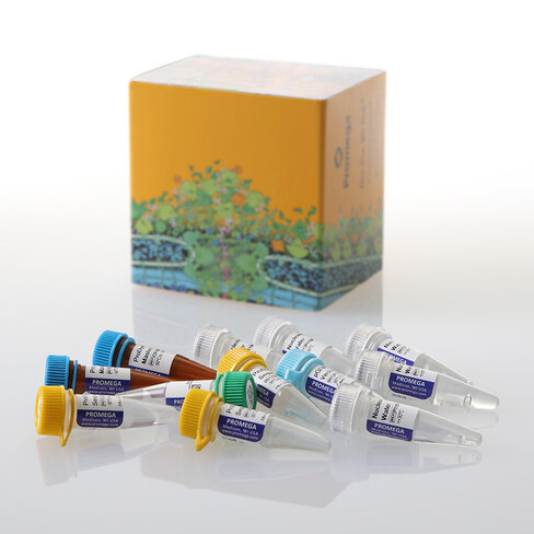 ProDyeTM Terminator Sequencing System 200 200 réactions