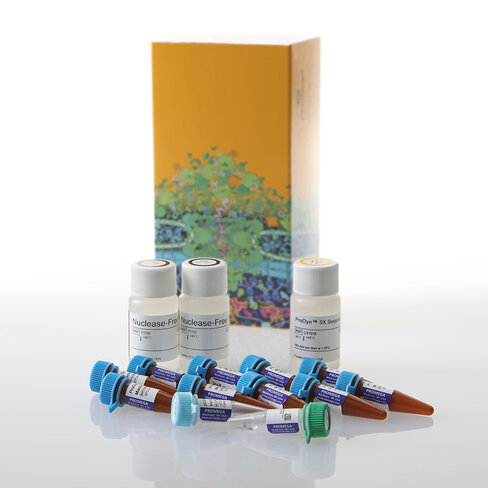 ProDyeTM Terminator Sequencing System 1000 1000 réactions