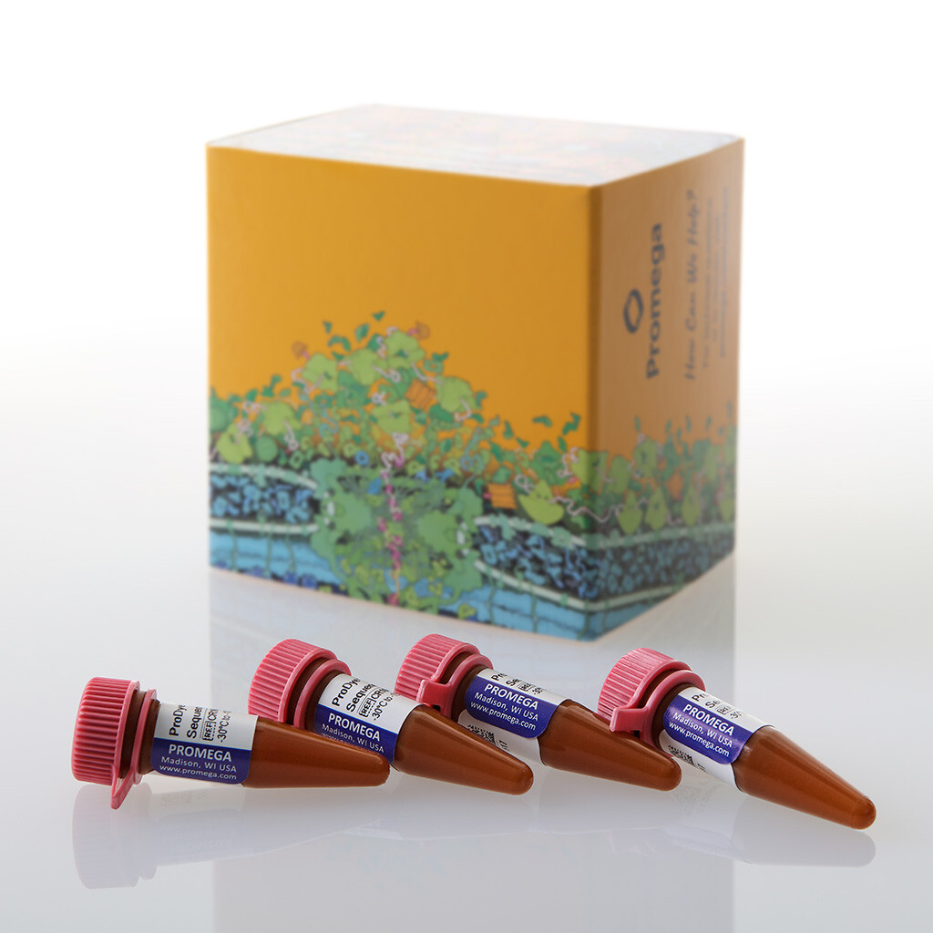 ProDyeTM Sanger Sequencing Standard 4x4 wells