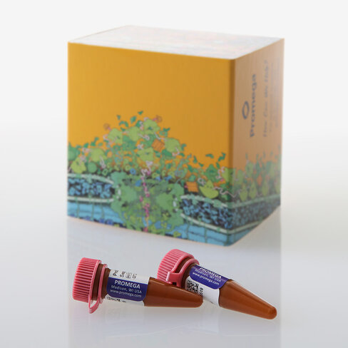 ProDyeTM Sanger Sequencing Standard 2x96 wells