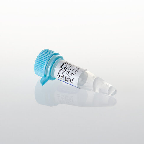 Unmethylated Lambda DNA 250 µg