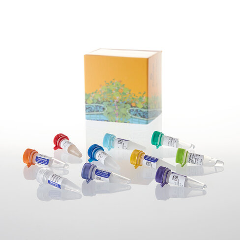 PCR Optimization Kit 1 each