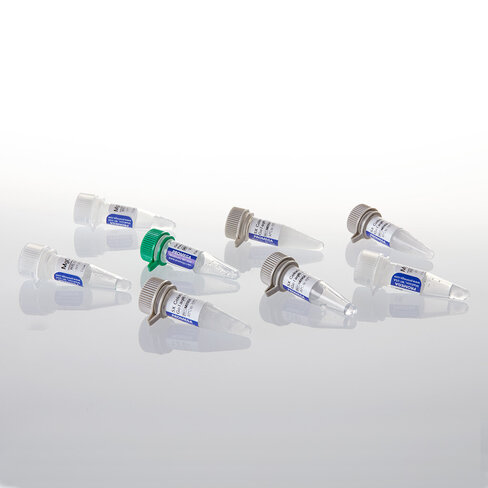 GoTaq MD x HS Polymeras, GF, 5µ / µl, 500u