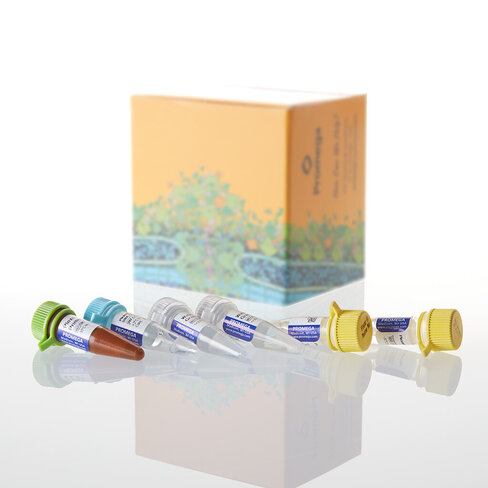 Plexor HY System, 200 rxn