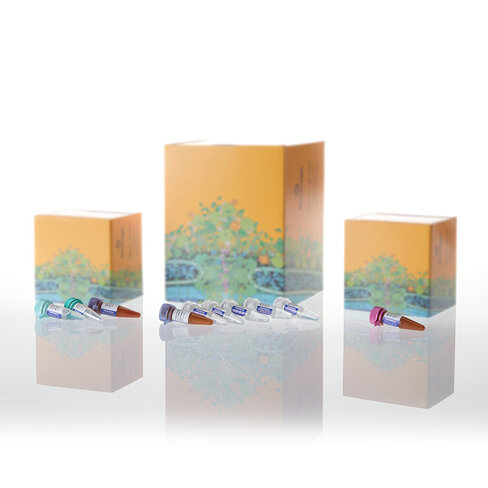 PowerPlex ESX 17 Fast System 100 reactions