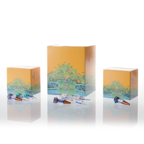 PowerPlex 18D System 200 reactions