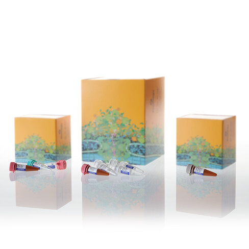 PowerPlex 16 HS System 100 reactions