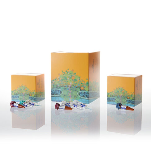 PowerPlex Fusion System 200 reactions