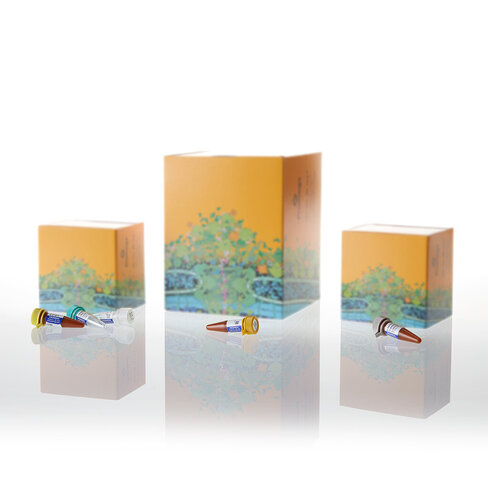 PowerPlex 16 System 100 reactions