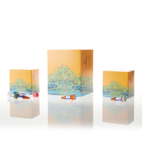 PowerPlex CS7 System 100 reactions