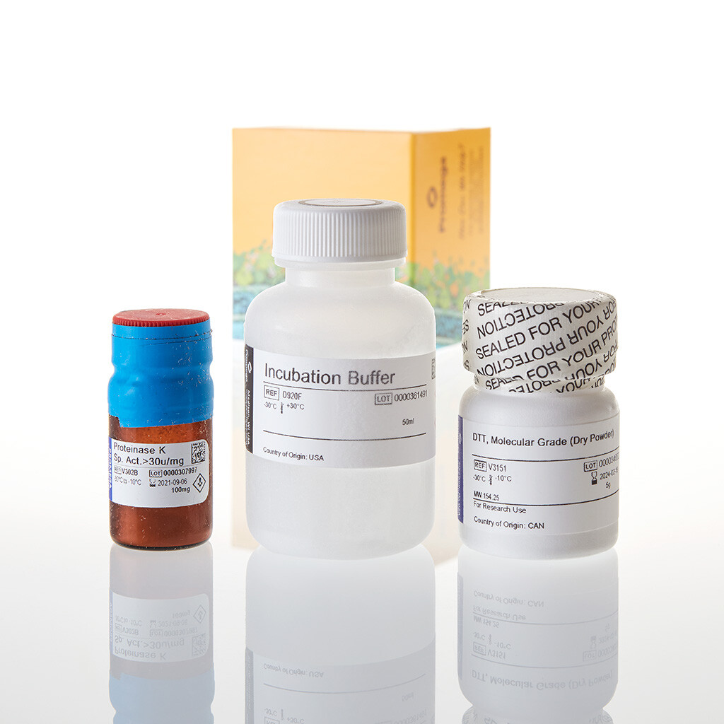 Tissue Hair Extraction Kit 100 reactions