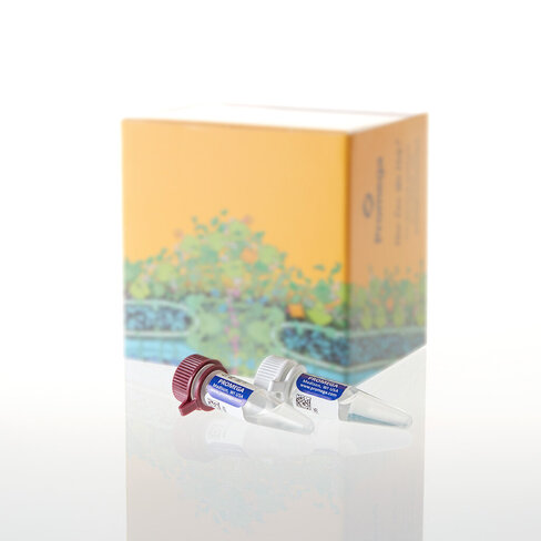 PunchSolution Kit, 100 preps