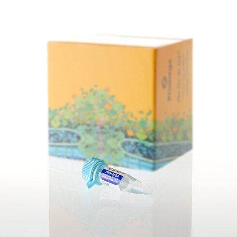 K562 DNA High Molecular Weight 30 µg