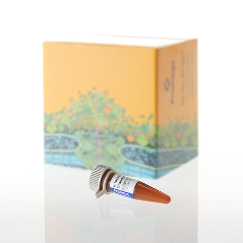 Internal Lane Standard 600 150 µl