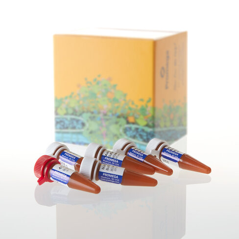 PowerPlex 4C Matrix Standard 5 preps 1EAch 1 reactions