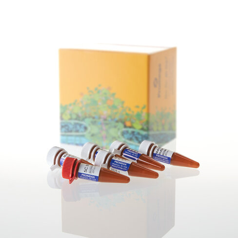 PowerPlex 5C Matrix Standard 5 preps 1EAch 1 reactions