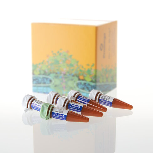 PowerPlex 6C Matrix Standard, 5 preps