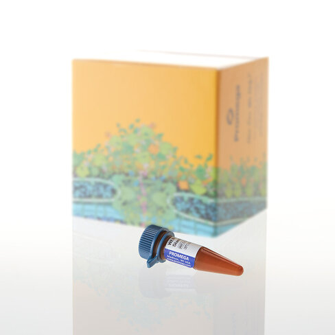 WEN Internal Lane Standard 500 200 µl