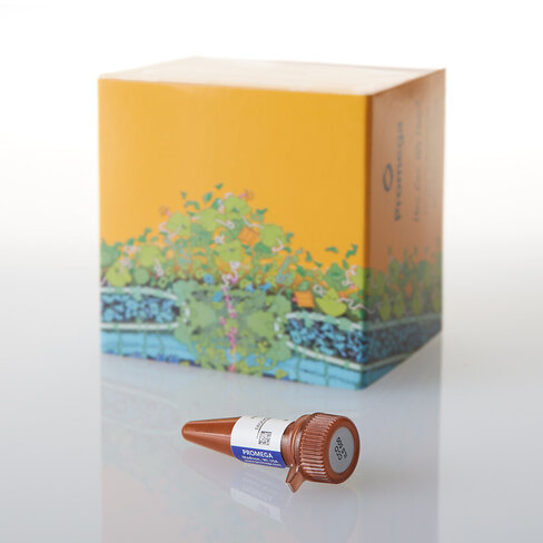 CCO Internal Lane Standard 500, 250 µl