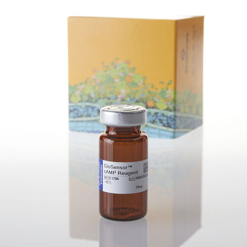 GloSensor camp Reagent 25mg 25mg 25 mg