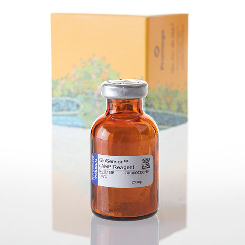 GloSensor camp Reagent 250mg 250mg 250 mg
