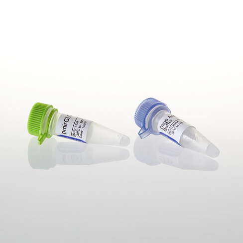 PmirGLO Dual Luciferase miRNA Target Exp 20 µg