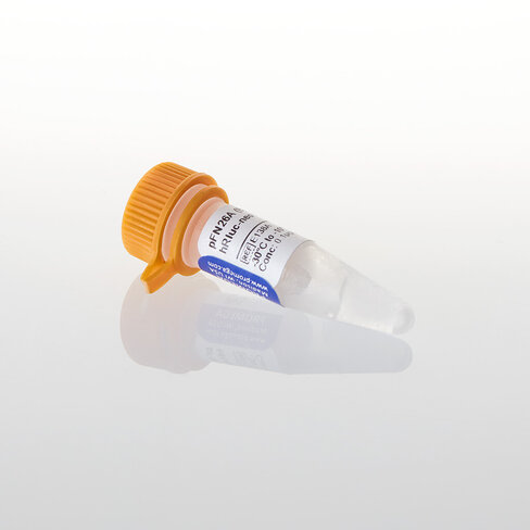 PFN26A(BIND) hRluc-neo Flexi Vector 20 µg