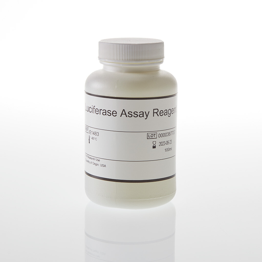 Luciferase Assay Reagent 100 mL