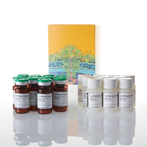 Luciferase Assay System 10-pack 1000tests 1000 tests