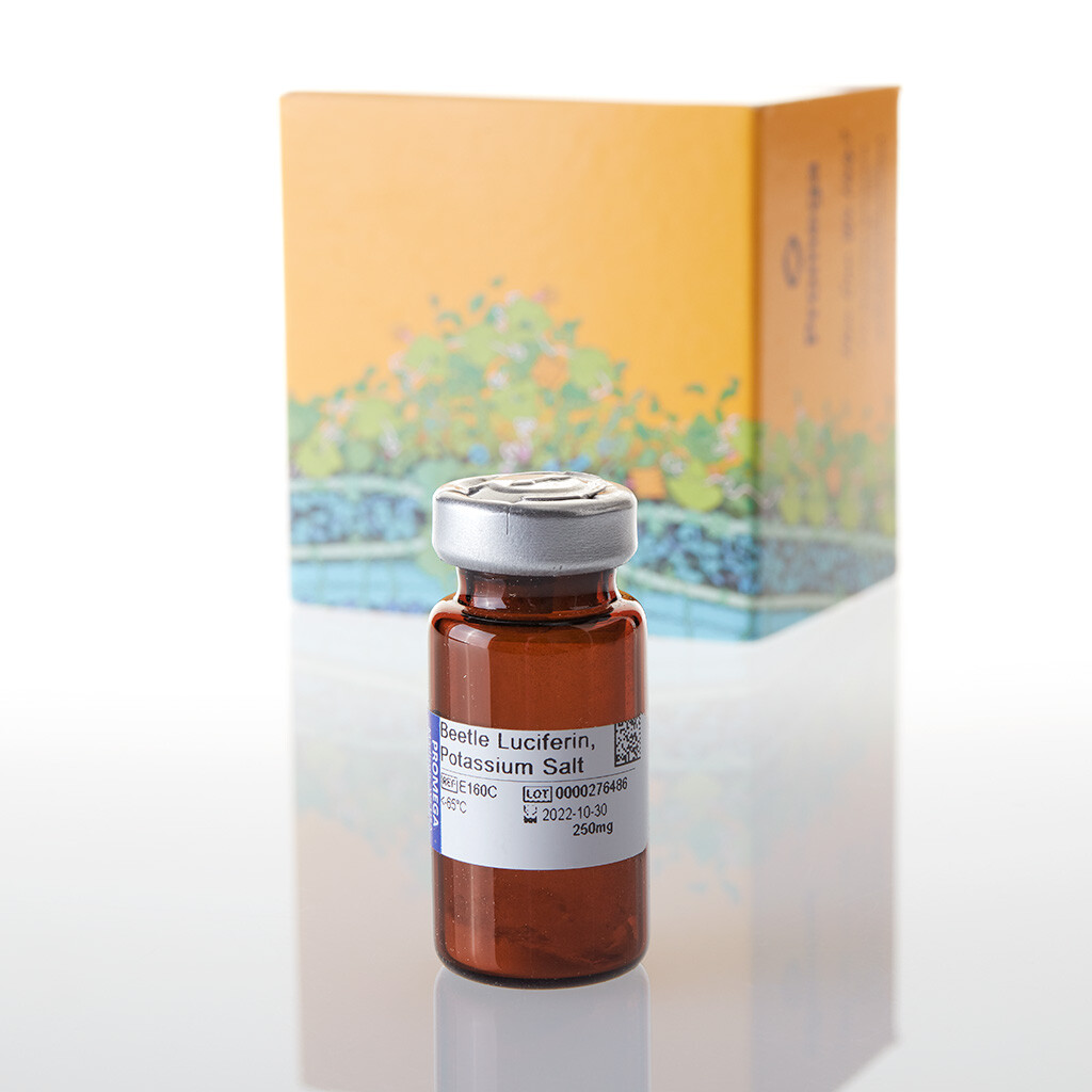 Beetle Luciferin, Potassium Salt 250 mg