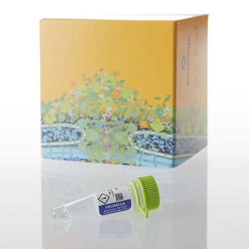 QuantiLum Recombinant Luciferase 1mg 1mg 1 mg