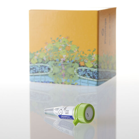 QuantiLum Recombinant Luciferase 5 mg