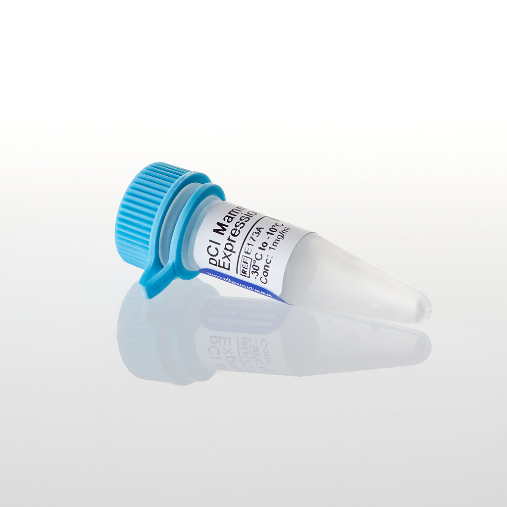 PCI Mammalian Expression Vector 20 µg