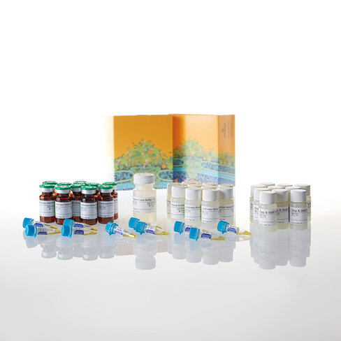 Dual-Luciferase Reporter Assay System 1000tests 1000 tests