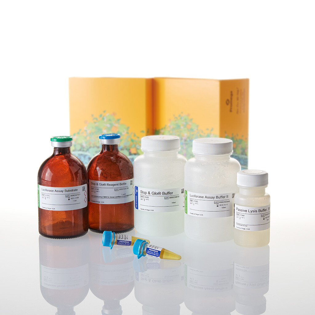 Dual-Luciferase Reporter 1000 Assay Sys 1000tests 1000 tests