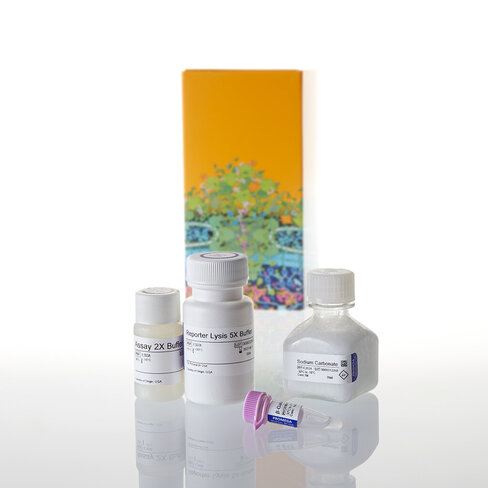 Beta-Galactosidase Enzyme Assay System 10 ml