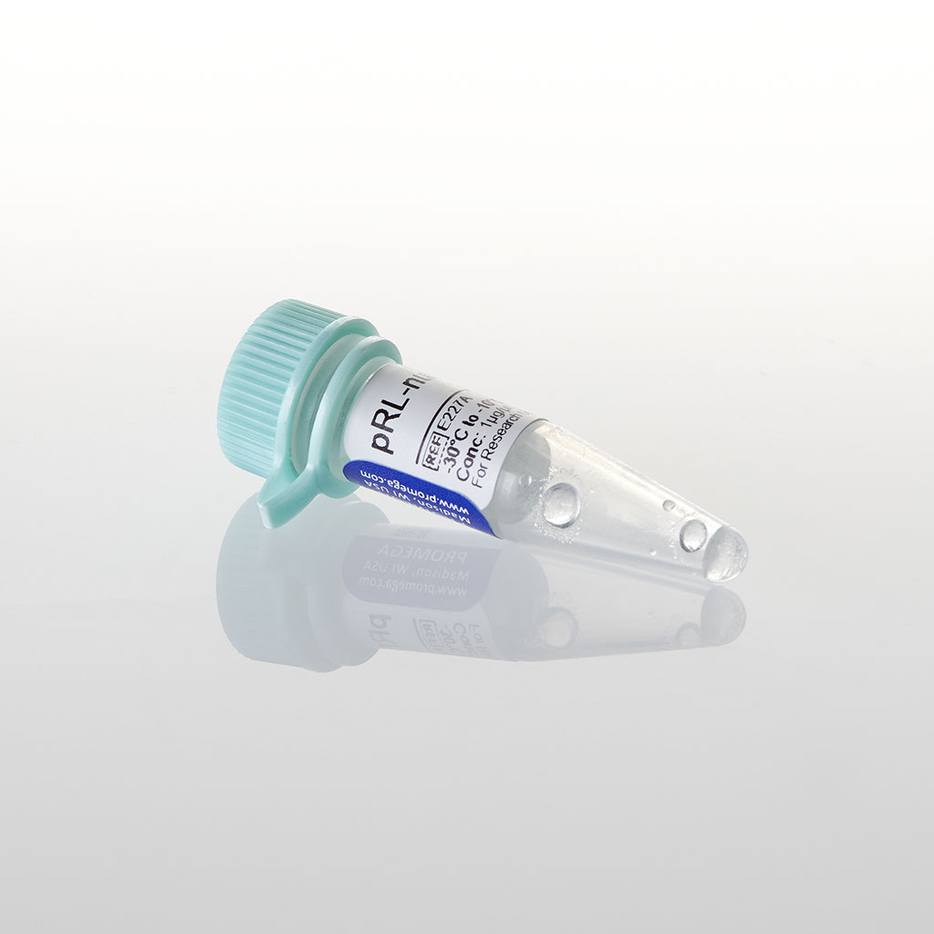 PRL-TK Vector, 20 µg