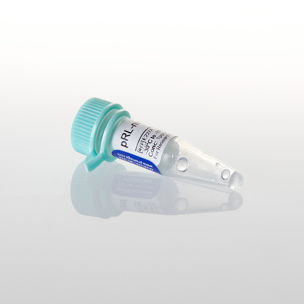 PRL- Vector, 20 µg