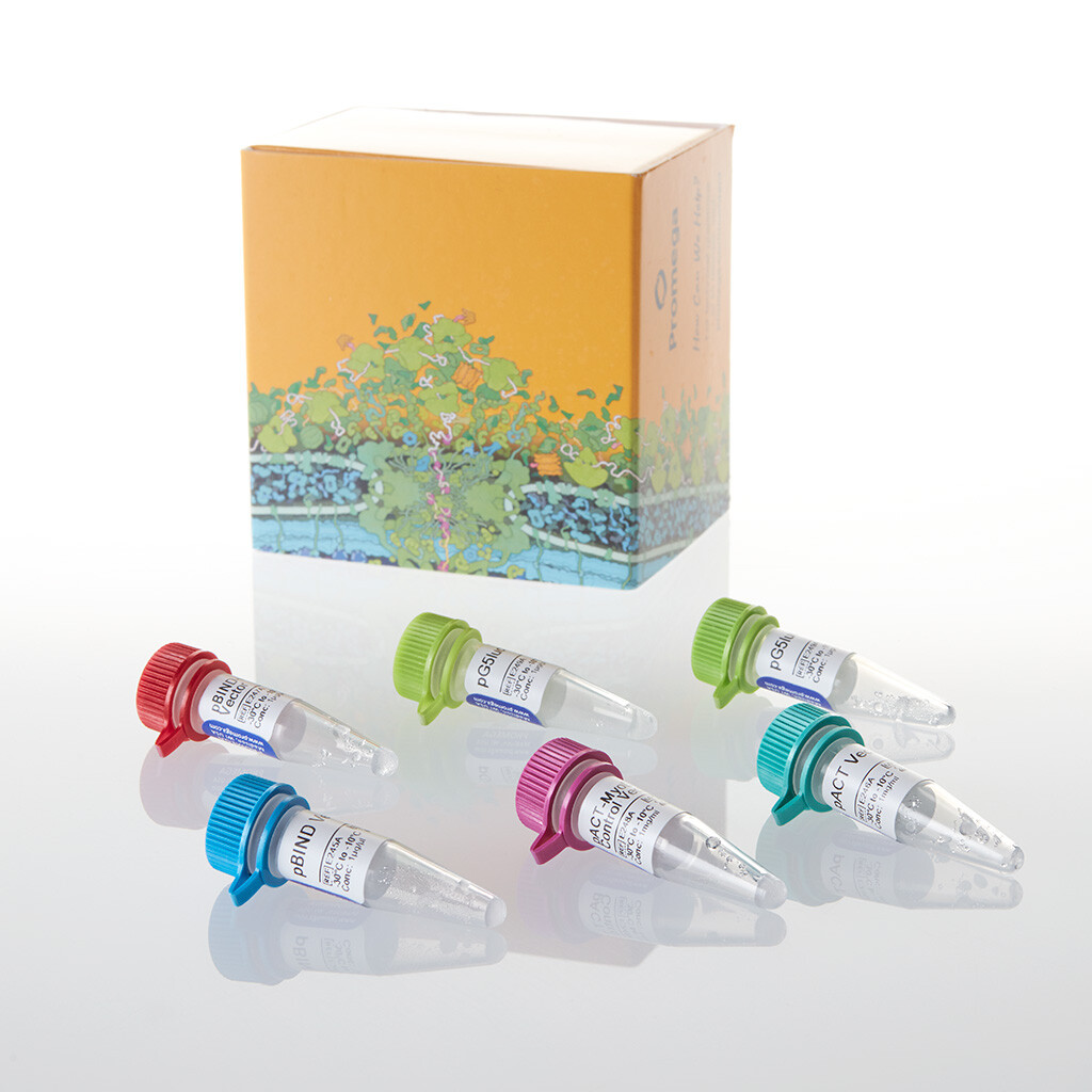 CheckMate Mammalian Two- Hybrid System 1système 1 système