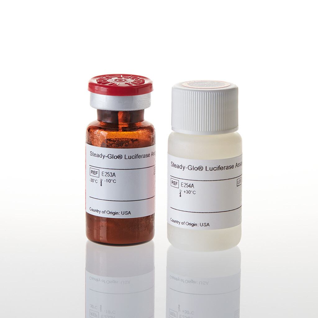 Steady-Glo Luciferase Assay System 10 ml