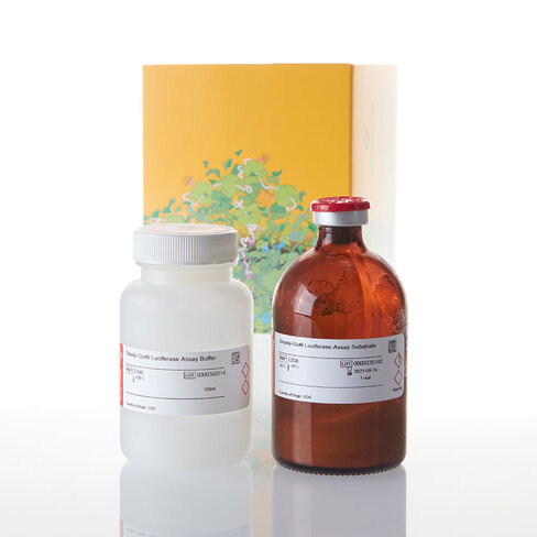 Steady-Glo Luciferase Assay System 100 ml