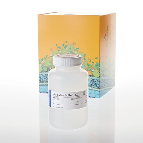 Glo Lysis Buffer 100 mL