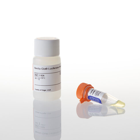 Renilla-Glo Luciferase Assay System 10 ml