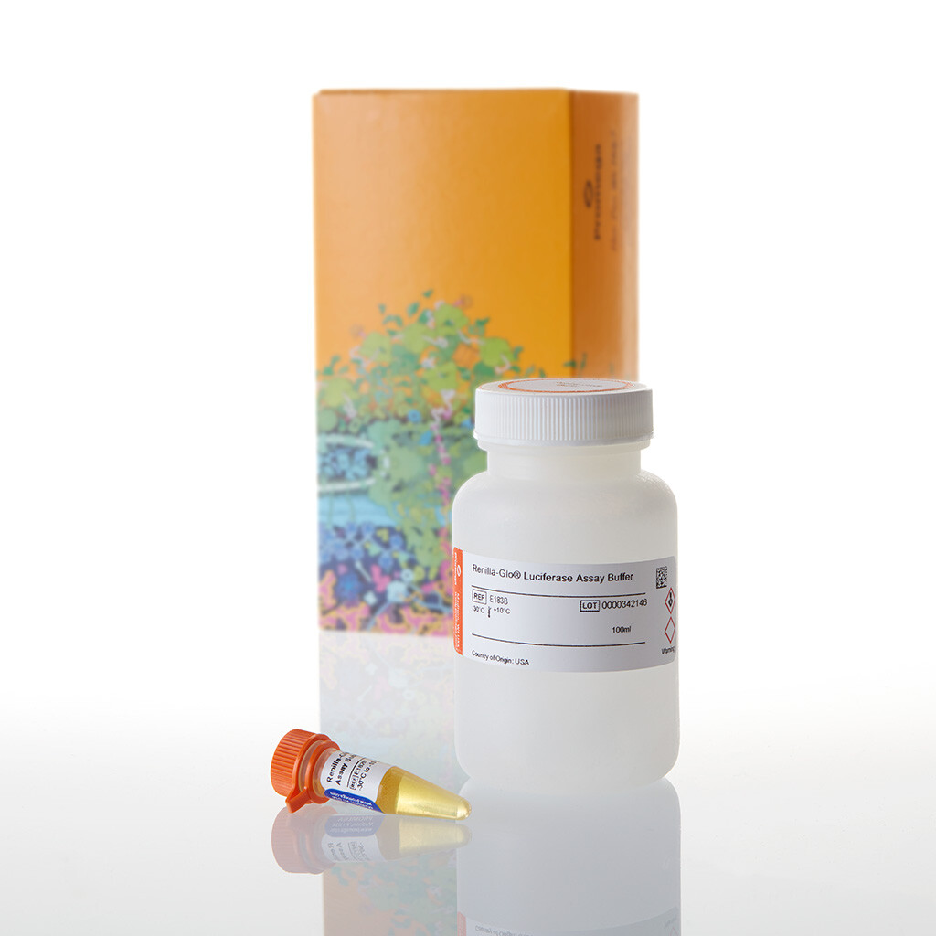 Renilla-Glo Luciferase Assay System 100 ml
