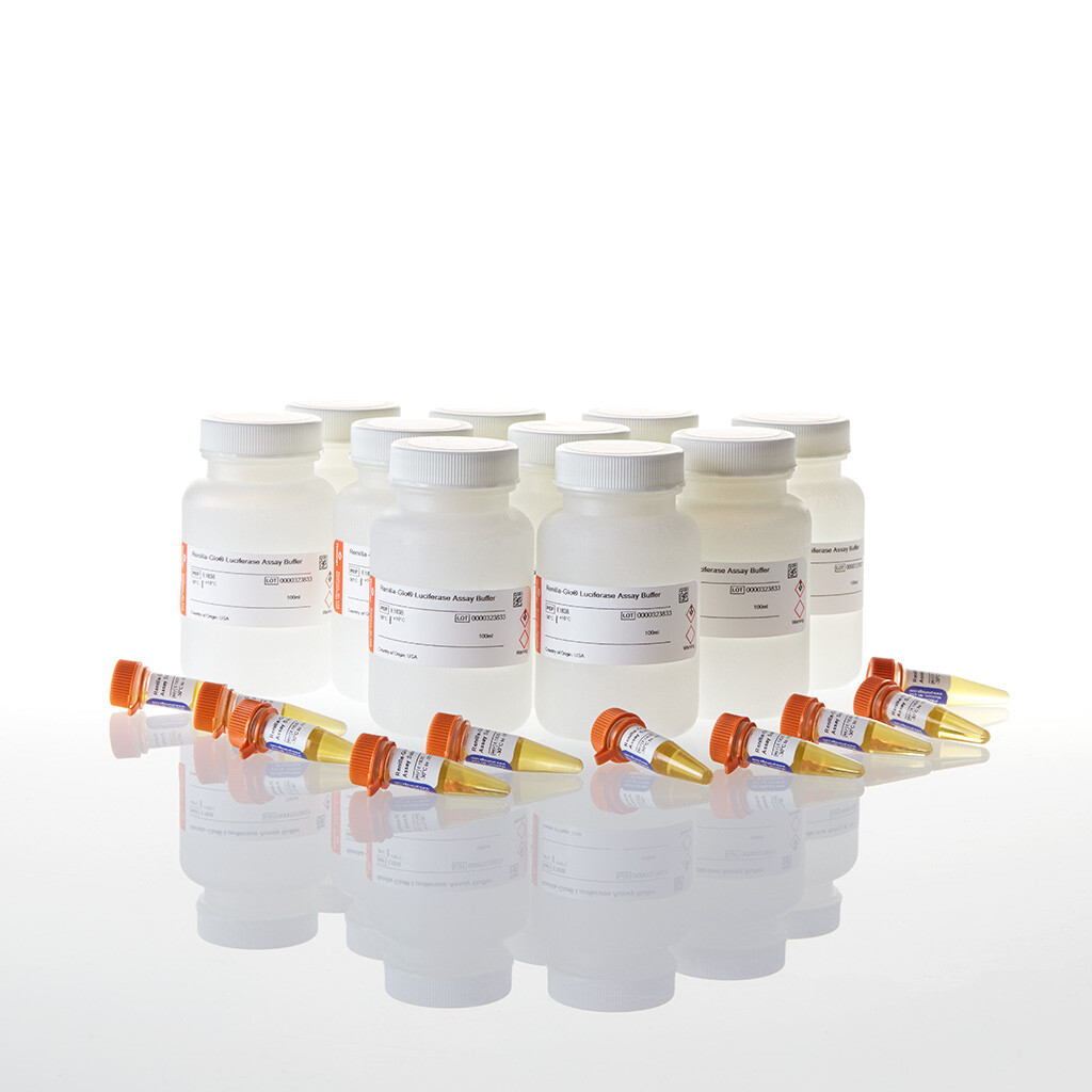 Renilla-Glo Luciferase Assay System 10x100 ml