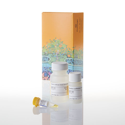 Renilla Luciferase Assay System 100 Asy 100tests 100 tests