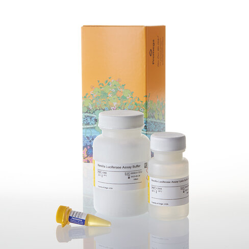 Renilla Luciferase Assay System 1000 As 1000tests 1000 tests